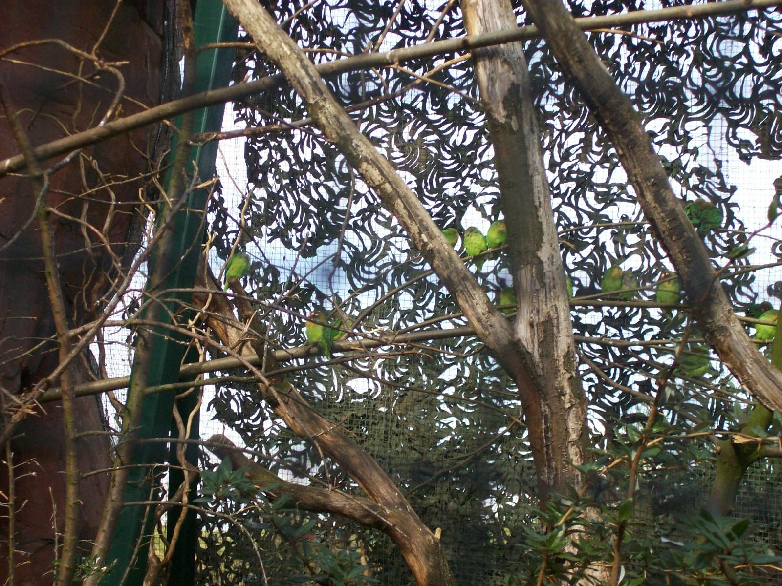 Zoom 18.10.2008-093.jpg